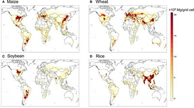 Impacts of Surface Ozone Pollution on Global Crop Yields: Comparing Different Ozone Exposure Metrics and Incorporating Co-effects of CO2